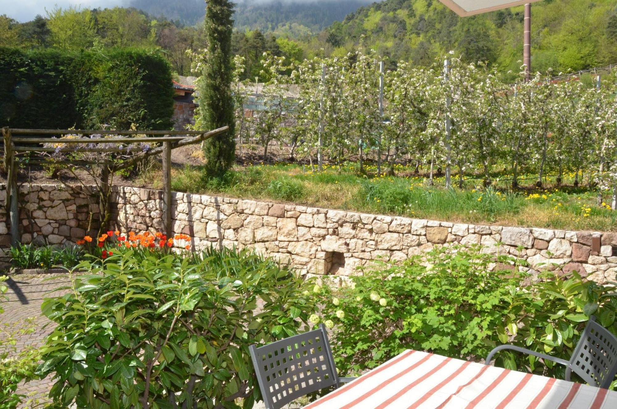 Schloss-Hof Appiano Sulla Strada Del Vino Ngoại thất bức ảnh